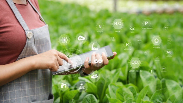 研究和检验含有对植物有益的土壤成分的优质健康农产品。图片下载