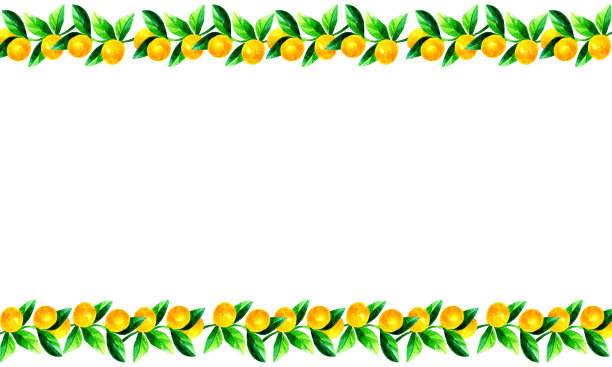 金桔树的背景图像。手绘水彩水果插图。图片下载