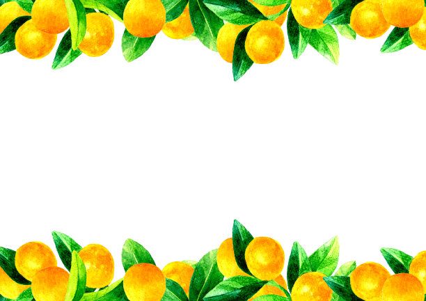 金桔树的背景图像。手绘水彩水果插图。图片下载