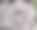 老式树干特写摄影图片下载