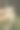 一群长颈鹿在动物园的笼子里吃树叶图片下载