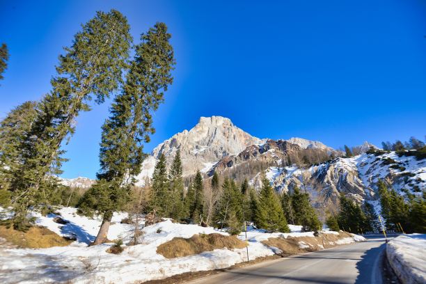 冬天的森林，照片为背景，照片为背景，在意大利北部trento和belluno之间的意大利欧洲多洛米蒂阿尔卑斯山脉，欧洲图片下载
