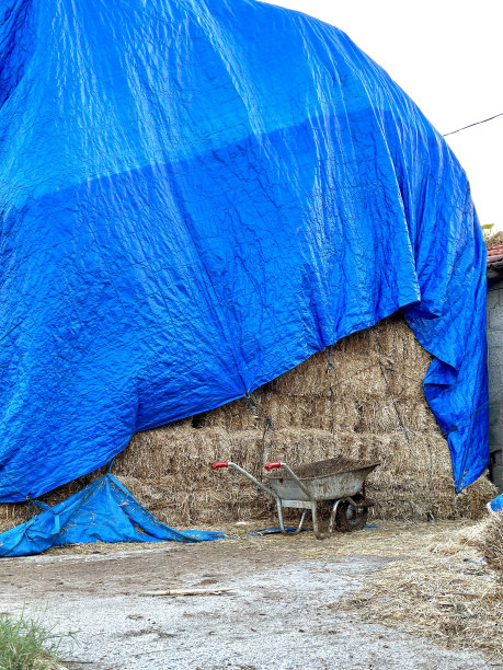 干草包和干草堆图片下载