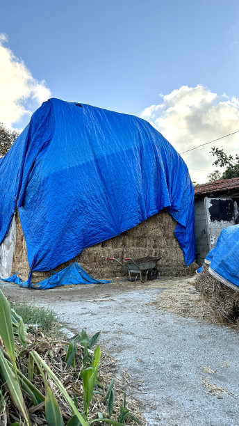 干草包和干草堆图片下载