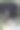 哈士奇狗在街上从水桶里喝水的特写照片图片下载