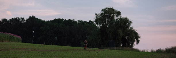 男性肖像，男子用数码相机的后视图。一个人在野外行走的工作摄影师，旅行概念摄影。户外创意人士的生活方式照片。图片下载