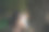 在绿色公园的户外办公室里，使用笔记本电脑的女性努力工作。年轻女性有头痛，沮丧，从失败的事业倦怠。疲惫的亚洲女人绝望悲伤的问题图片下载