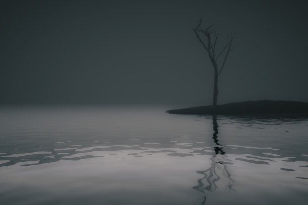 干单木图片下载