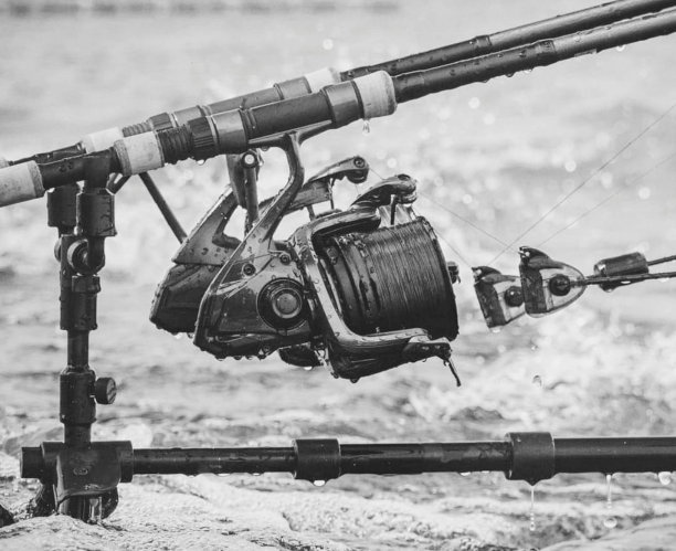 非常好的鱼竿。潮湿的雨水，冬天的天气。鱼饵放在水里，等着鱼儿上钩。杆子在杆子吊舱上。黑白照片。图片下载