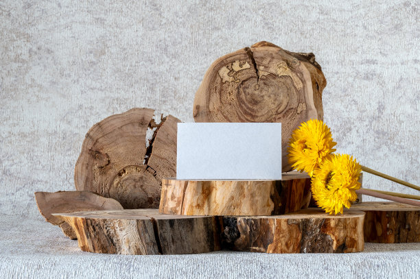 模板与苹果树的横截面，黄色干花，空白的名片。代表产品，化妆品，食品，珠宝或其他东西。图片下载