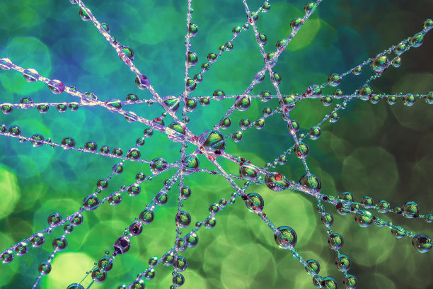 创意抽象水滴照片图片下载