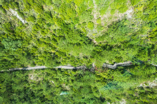 香港假期-昂坪360度全景图片下载