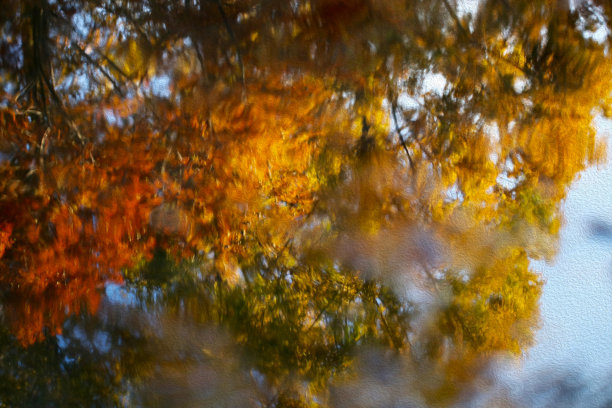 秋天的树叶映照在平静的湖面上。照片在一个动画插图的风格修饰。图片下载