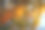 秋天的树叶映照在平静的湖面上。照片在一个动画插图的风格修饰。图片下载
