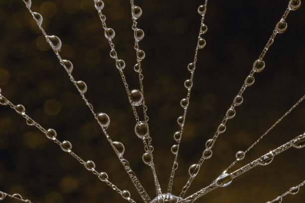 创意抽象水滴照片图片下载