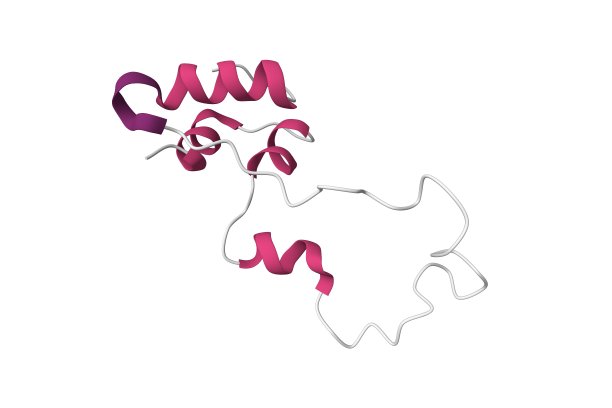胰岛素原的核磁共振结构图片下载