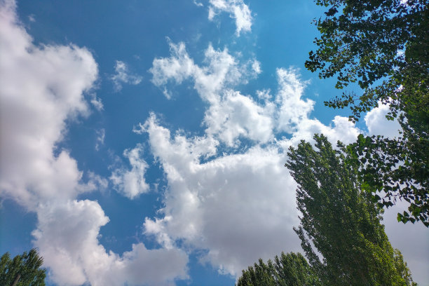 明亮的背景照片，绿色的植物对着蓝天，很少有蓬松的云。主题是反思我们周围世界的美丽和我们对它的影响图片下载
