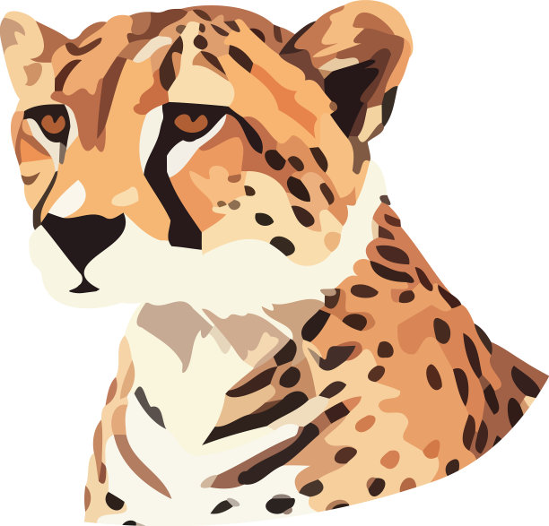 斑点猎豹是野外的快速猎手图片下载