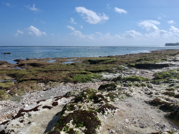 2023年8月，一个阳光明媚的日子，在退潮期间，无人机在巴厘岛乌鲁瓦图的宾金海滩拍摄的照片，周围有餐馆、房子和人们图片下载