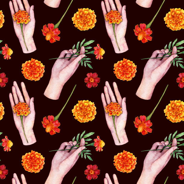 水彩无缝图案与女性手握红色万寿菊花。手绘花卉插图孤立在黑暗的背景。图片下载