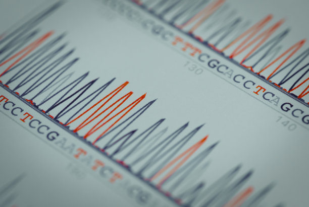 DNA序列图图片下载