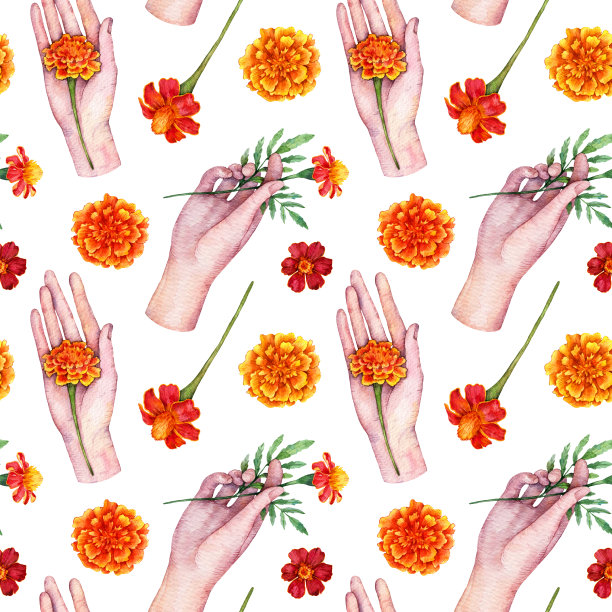 水彩无缝图案与女性手握红色万寿菊花。手绘花卉插图孤立在白色背景。图片下载