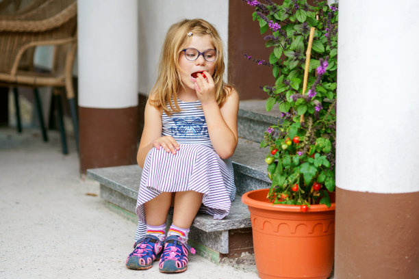 可爱的小女孩拿着花盆里的西红柿。学龄前的孩子摘成熟的蔬菜吃西红柿图片下载