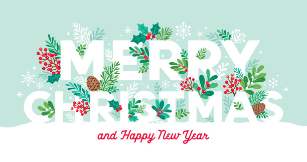 圣诞快乐问候槲寄生枝，松果，冬青叶，浆果和雪花图片下载