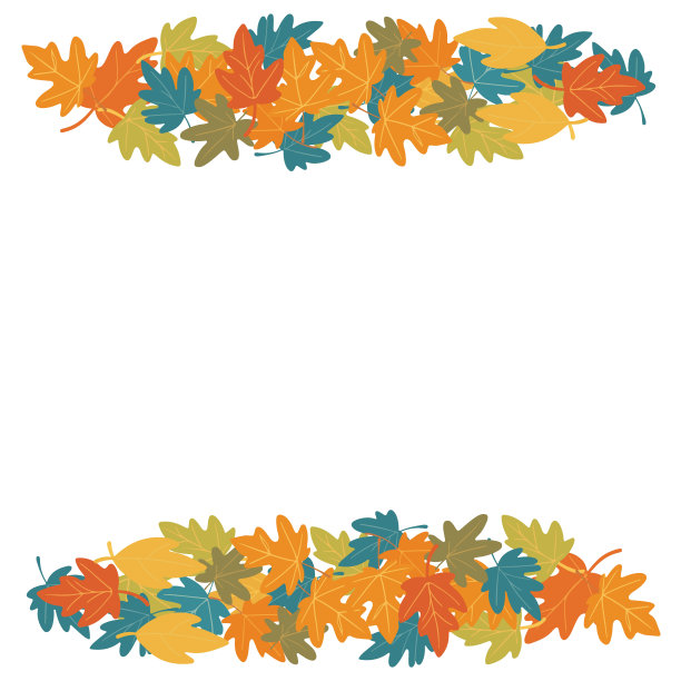 在白色背景上孤立的秋叶图片下载