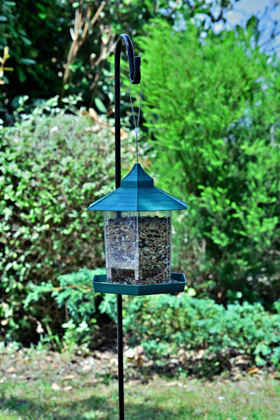 鸟类世界图片下载