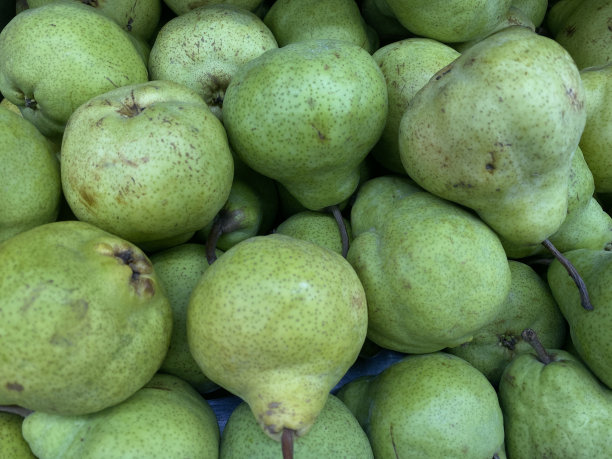 超市货架上的青梨水果近距离摆放图片下载