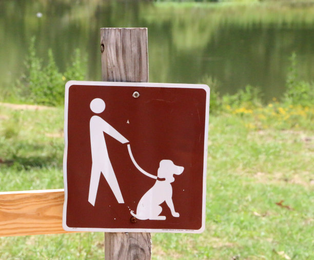 拴着皮带的宠物图片下载