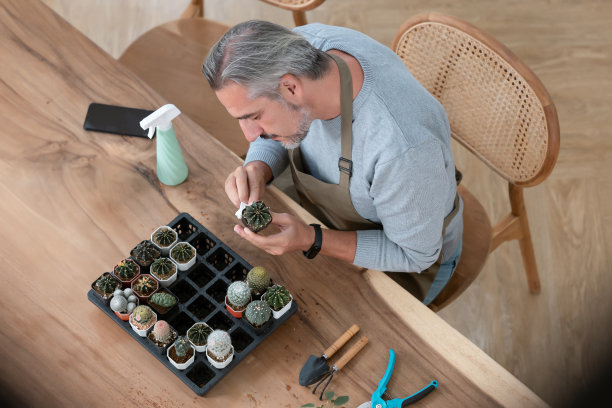 英俊的大胡子成熟的高加索企业家在家里园艺照顾他的仙人掌多汁。中年园丁与小企业主或中小企业的概念工作。图片下载