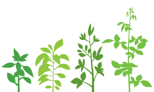 红玫瑰花树配绿树，花重复图案，复古风格，背景，装饰，横向，无人，插画，树叶，自然，纺织，设计，矢量，春天，图片下载