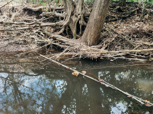 这条河充满了垃圾图片下载