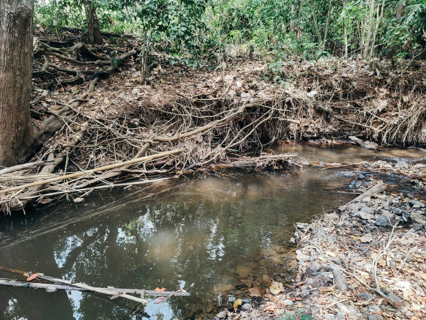 这条河充满了垃圾图片下载