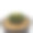 白底仙人掌LB2178花盆。用于插图或复制空间。图片下载