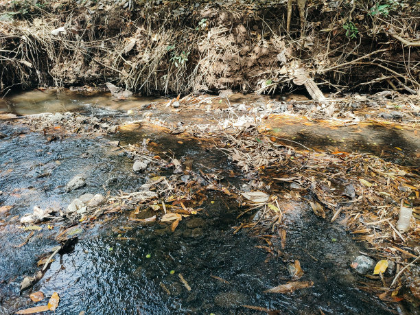 这条河充满了垃圾图片下载