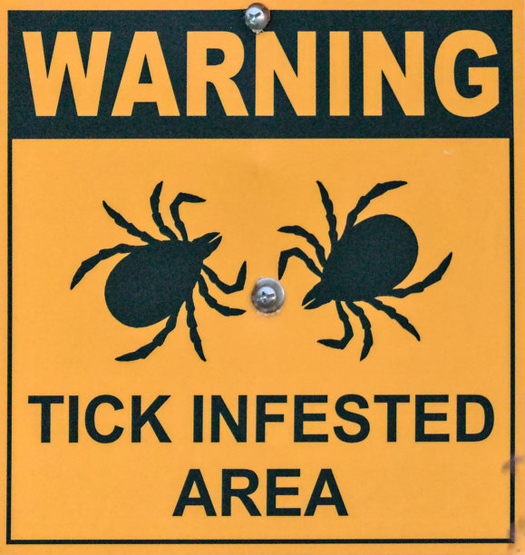 警告蜱虫出没地区的标志在草地，公园(莱姆病预防)照片，高大的草，鹿，狗，孤星蜱虫地面图片下载