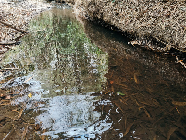 这条河充满了垃圾图片下载