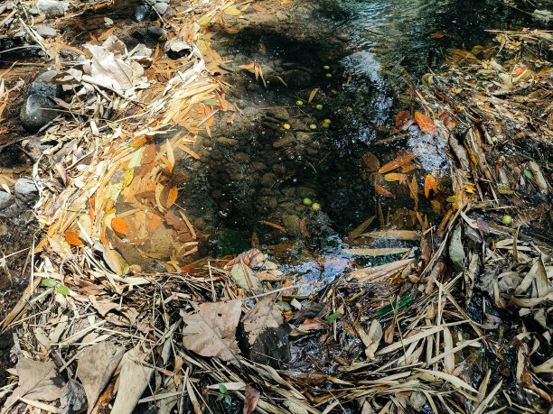 这条河充满了垃圾图片下载
