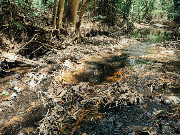 这条河充满了垃圾图片下载