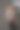 一系列的工作室照片，年轻的女模特在聚光灯下的动物印花人体礼服。经典简约的夏季时尚。图片下载