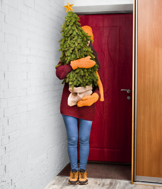 一个手里拿着圣诞树的女人站在前门图片下载