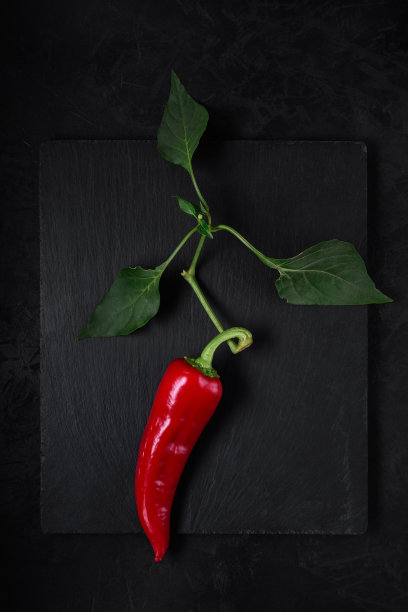 一根带叶子的树枝上的红辣椒躺在黑色的石头砧板上。从上面看。简单的艺术暗照片图片下载