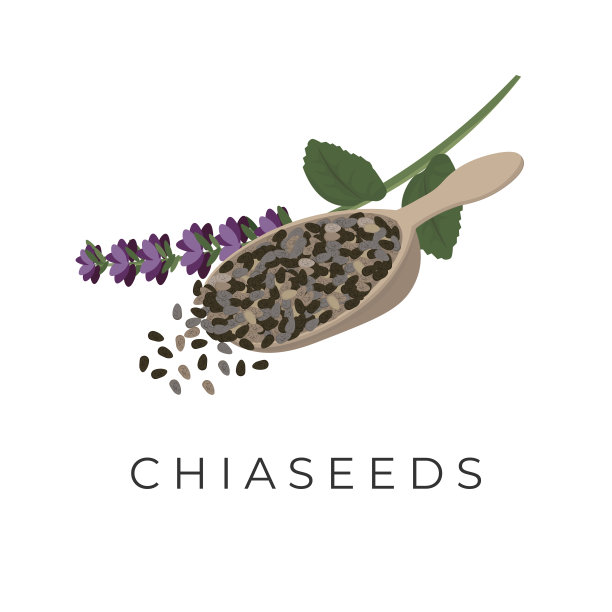 木勺上的奇亚籽图片下载