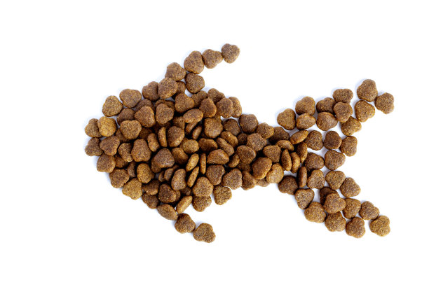 这鱼是用干猫食做的。爱动物。关心,爱。



这鱼是用干猫食做的。爱动物。护理图片下载