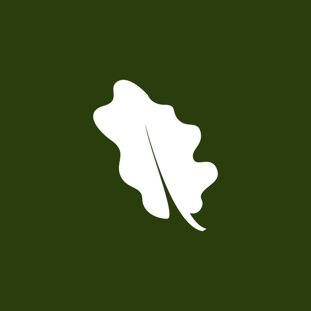 橡树叶标志设计，简单的绿色植物矢量，模板说明图片下载