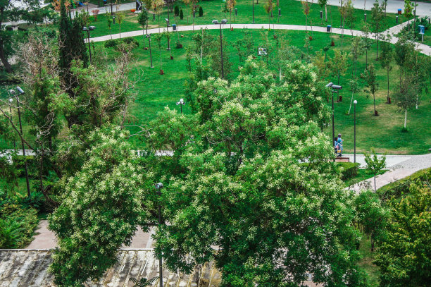 城市公园和游乐园图片下载