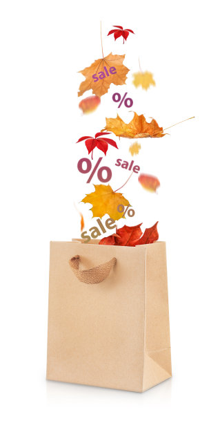 秋天的落叶和销售飞入一个纸质购物袋。在白色背景上突出显示。图片下载